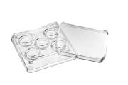 5-Well Dish Round Edge