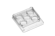 5-Well Dish Round Edge