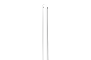 Micropipetas para biopsia